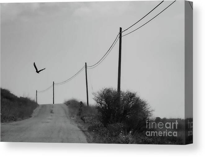 Road Canvas Print featuring the photograph Was It Just A Dream? by Jeff Hubbard