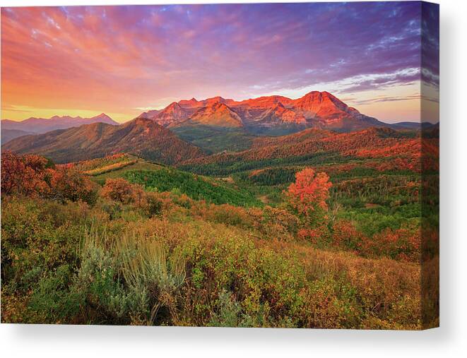 Golden Canvas Print featuring the photograph Wasatch Back Fall Sunrise by Wasatch Light