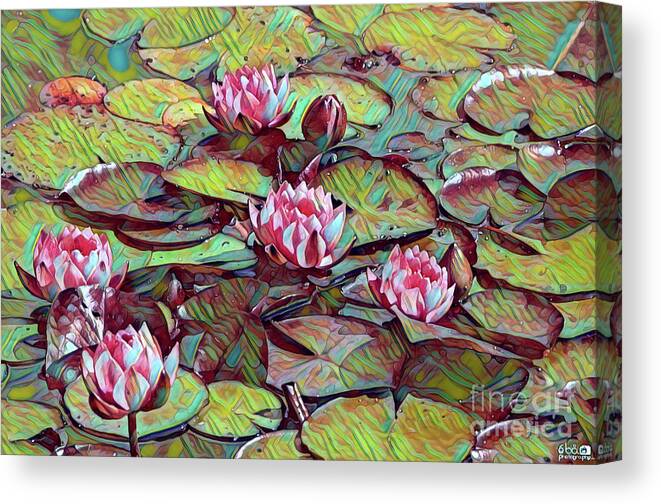 Lotus Canvas Print featuring the digital art Water Lilies Lotus by Elaine Berger