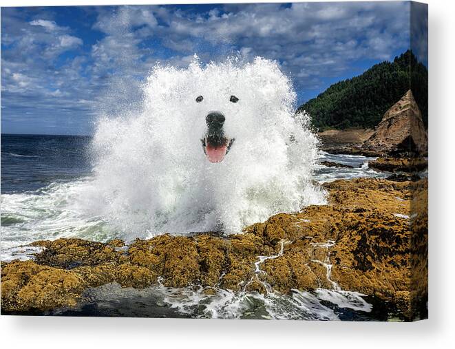 Smiling Dog Canvas Print featuring the digital art Waterdog by Pelo Blanco Photo