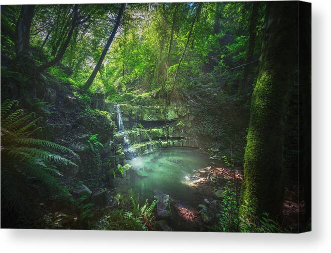 Waterfall Canvas Print featuring the photograph Waterfall inside a forest. Chianni, Tuscany by Stefano Orazzini