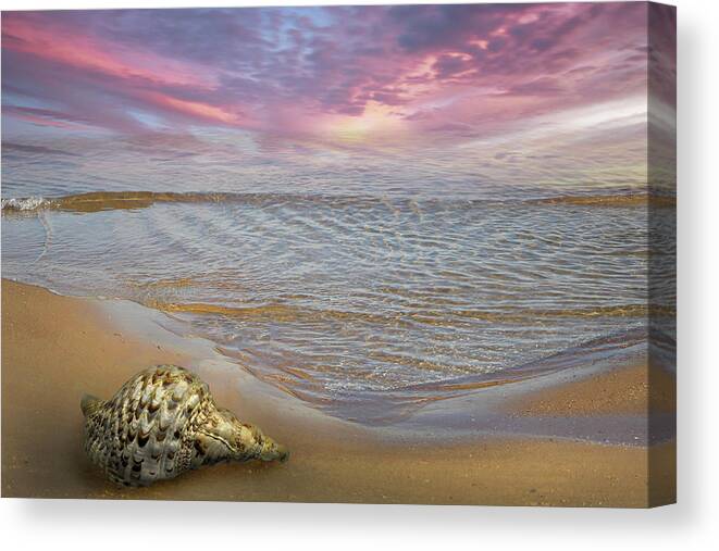 Clouds Canvas Print featuring the photograph Waves and Shells II by Debra and Dave Vanderlaan