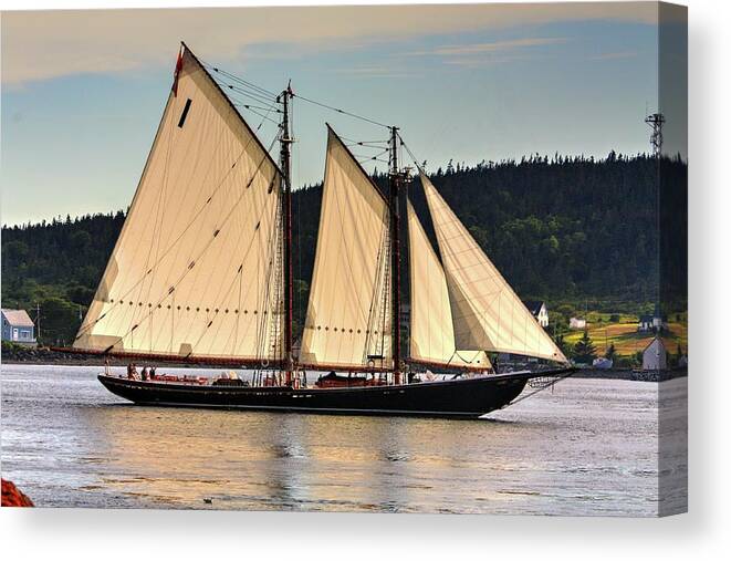 The Bluenose Ll Out Of Lunenberg Nova Scotia En Route To Digby Nova Scotia Via Petit Passage Bay Of Fundy Sea Oceans Ships Sail Land Water Clipper Canvas Print featuring the photograph We are sailing by David Matthews