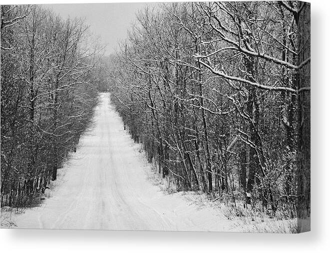 Winter Canvas Print featuring the photograph Welcome To My Winter Nightmare by Scott Burd