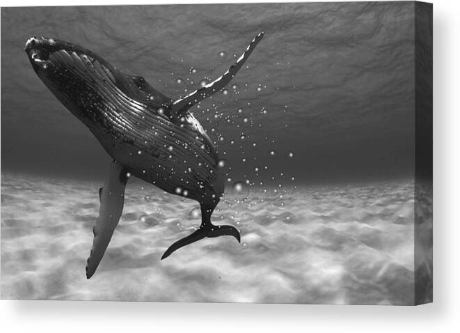 Whale Canvas Print featuring the mixed media Whale Magic by Marvin Blaine