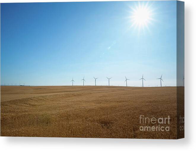 Oregon Canvas Print featuring the photograph Wheat Fields Of Oregon by Michael Ver Sprill