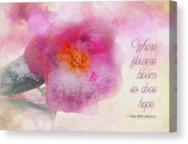 Camellia Canvas Print featuring the photograph Where Flowers Bloom by Amy Dundon