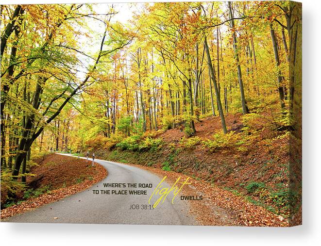 Ahead Canvas Print featuring the photograph Where's the road to the place where light dwells by Viktor Wallon-Hars
