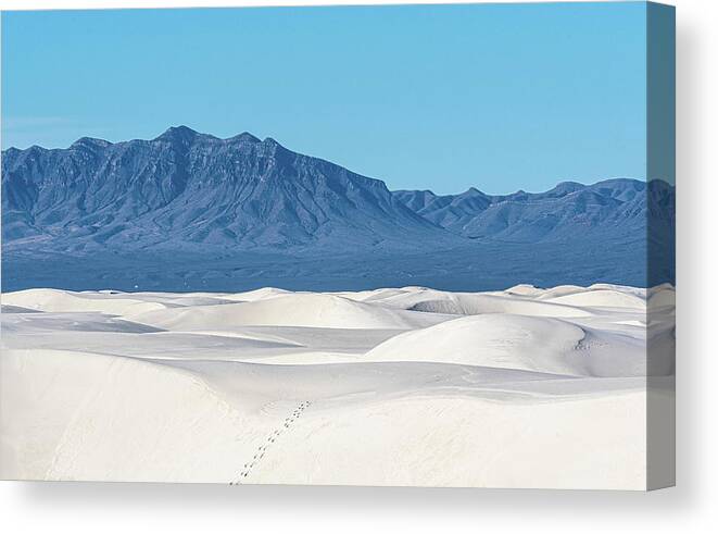 White Sands Canvas Print featuring the photograph White Sands NP-30 by Nicole Zenhausern