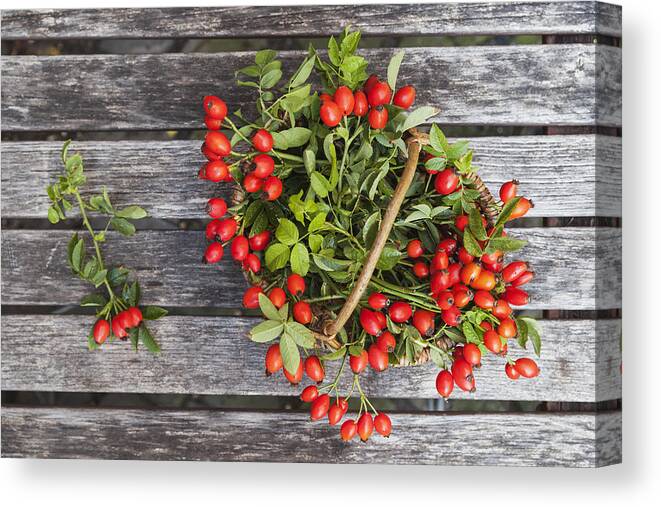 Vitamin C Canvas Print featuring the photograph Wickerbasket of rosehips on wood by Westend61