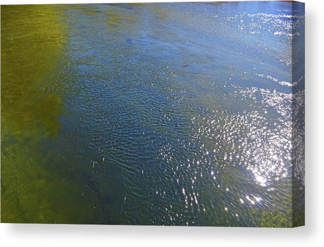 Yosemite Canvas Print featuring the photograph Wide River by Eric Forster