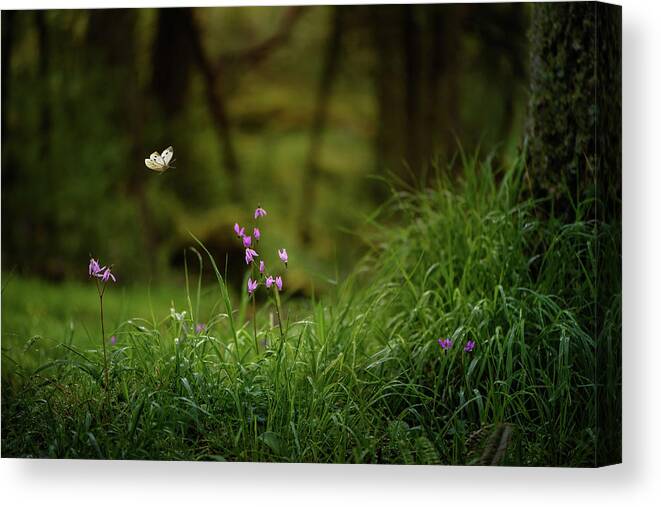 Wildflowers Canvas Print featuring the photograph Wildflowers and Butterfly in Grass by Naomi Maya