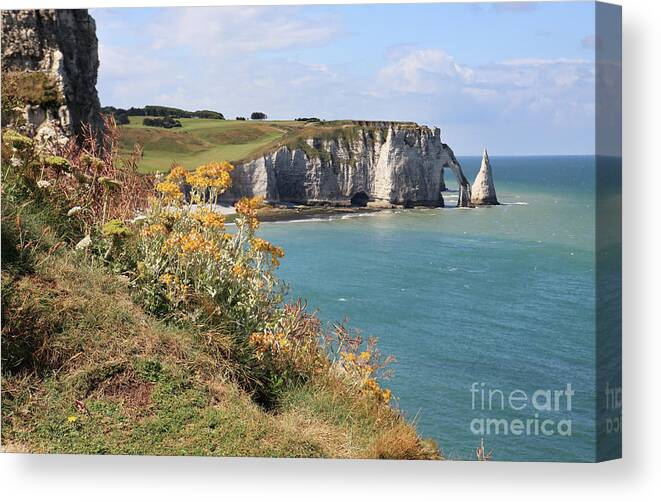 Falaise Canvas Print featuring the photograph Wildflowers and the Falaise d'Aval in Etretat by Bryan Attewell