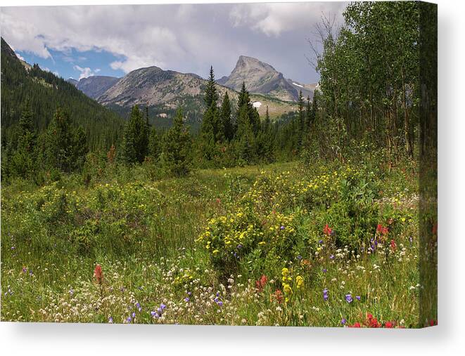Sawtooth Canvas Print featuring the photograph Wildflowers and the Sawtooth by Aaron Spong