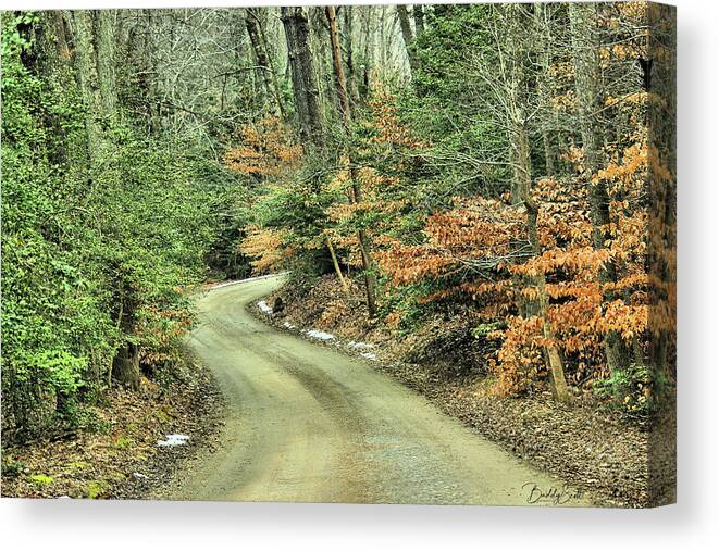 Trees Canvas Print featuring the photograph Winding Road by Buddy Scott