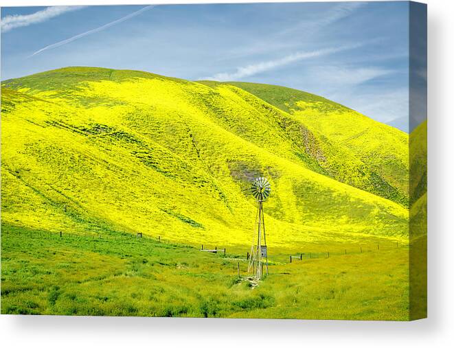 Windmill Canvas Print featuring the photograph Windmill and Wildflowers by Lindsay Thomson