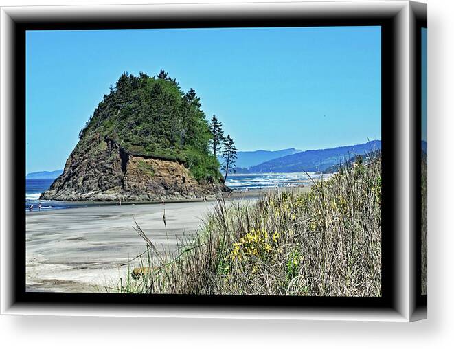 Beach Canvas Print featuring the photograph Windswept Beach and Rock by Richard Risely