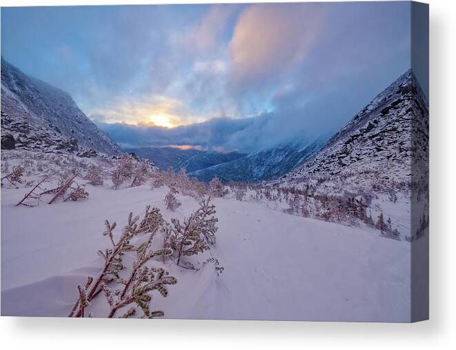 Tuckerman Ravine Canvas Print featuring the photograph Windswept, Spring Sunrise In Tuckerman Ravine by Jeff Sinon