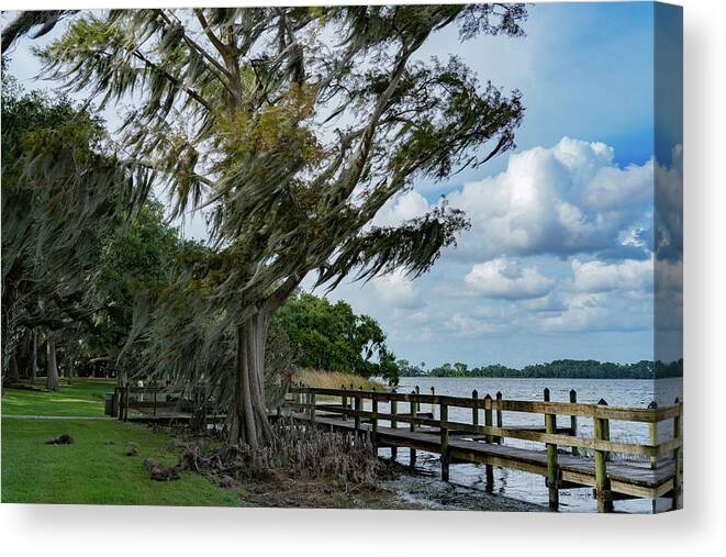 Mount Dora Canvas Print featuring the photograph Windswept by Todd Tucker