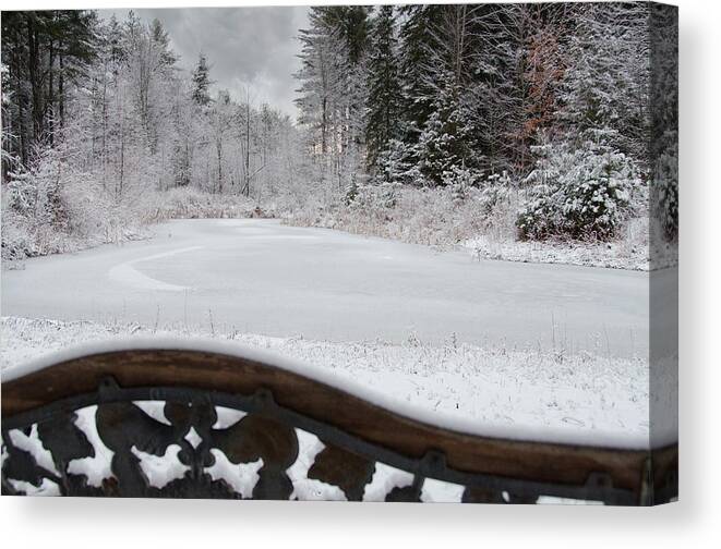 Winter Canvas Print featuring the photograph Winter at the Pond by Moira Law