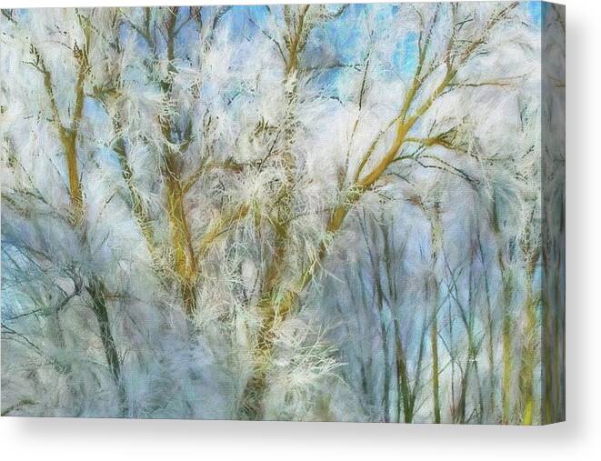Winter Canvas Print featuring the digital art Winter Branches by Russ Harris