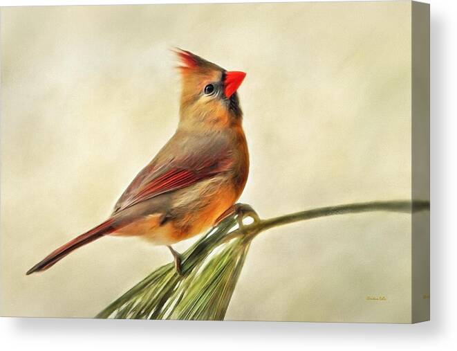 Winter Canvas Print featuring the painting Winter Cardinal by Christina Rollo