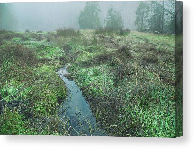Breitenbush Hot Springs Canvas Print featuring the photograph Winter dreams by Kunal Mehra