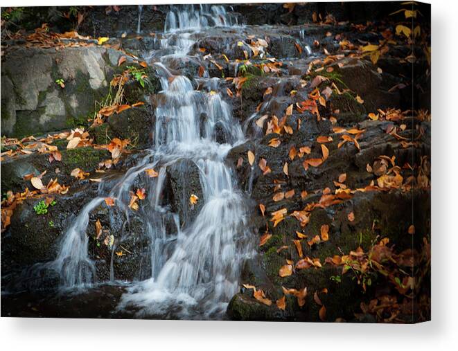 Falls Canvas Print featuring the photograph Winter Falls_5132 by Rocco Leone