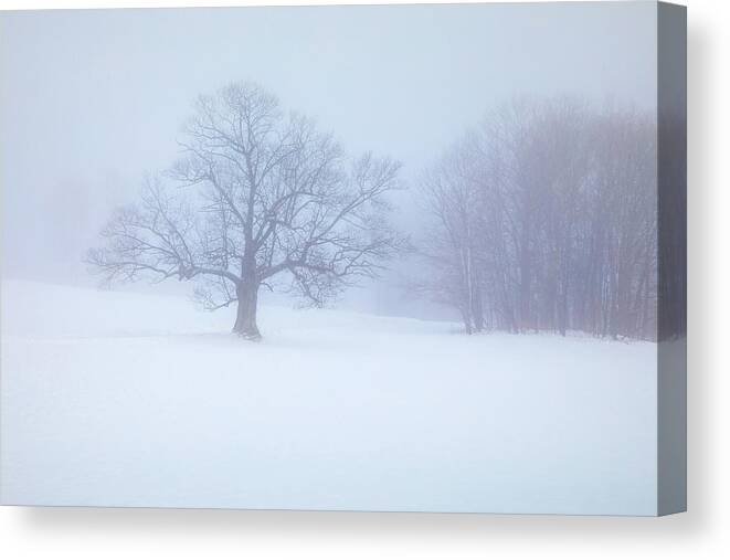 Winter Canvas Print featuring the photograph Winter 34a9722 by Greg Hartford