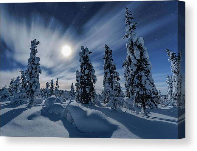 Winter Canvas Print featuring the photograph Winter night moon by Thomas Kast