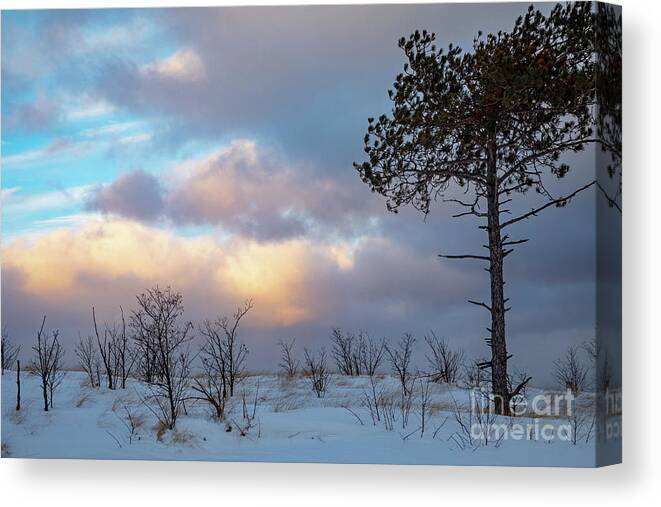 Tree Canvas Print featuring the photograph Winter on Lake Superior Beach by Jim West