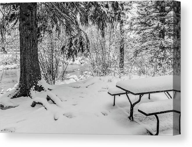 Bench Canvas Print featuring the photograph Picnic Table in Snow by Tom Potter