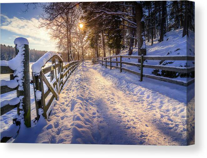 Winter Canvas Print featuring the photograph Winter Road by Nicklas Gustafsson