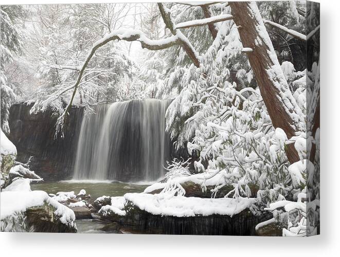 Winter Canvas Print featuring the photograph Winter Waterfall by Jaki Miller