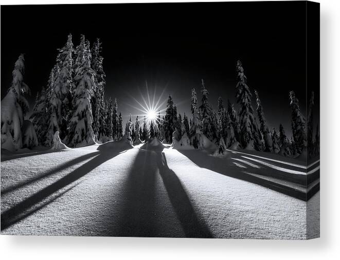 Beauty Canvas Print featuring the photograph Winter Wonderland 5 Black and White by Pelo Blanco Photo