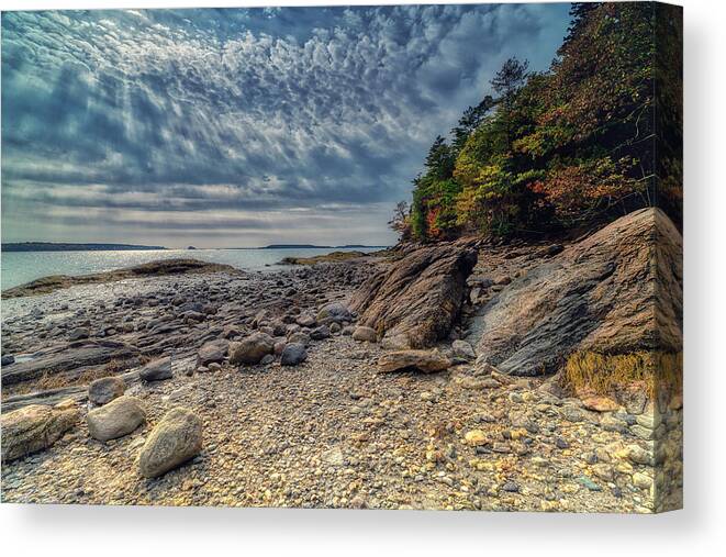 Freeport Maine Canvas Print featuring the photograph Wolfe Neck Woods by Penny Polakoff