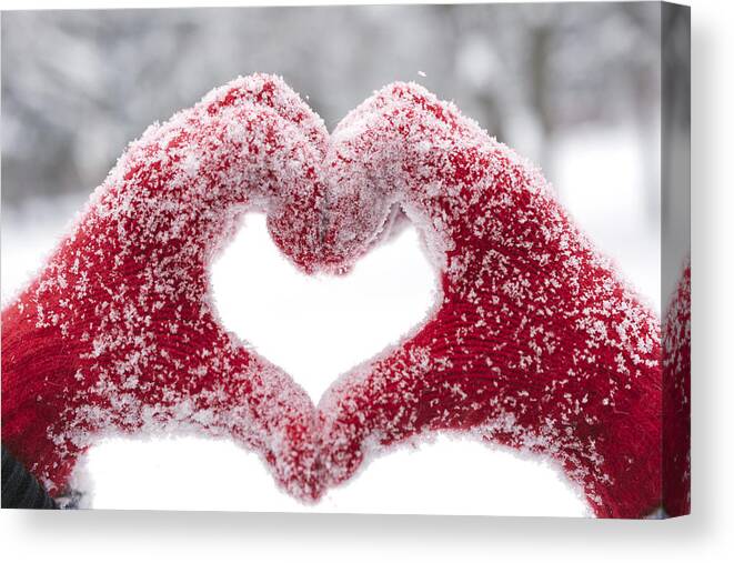 Event Canvas Print featuring the photograph Woman making heart symbol with snowy hands by Jasper Chamber