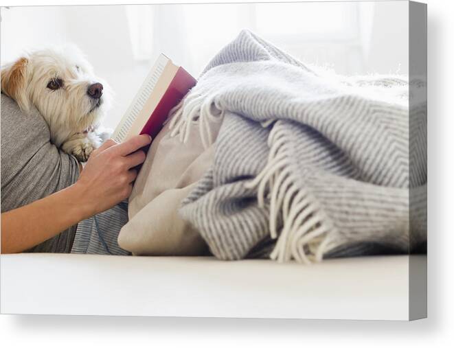 Pets Canvas Print featuring the photograph Woman reading in bed with dog by Emely