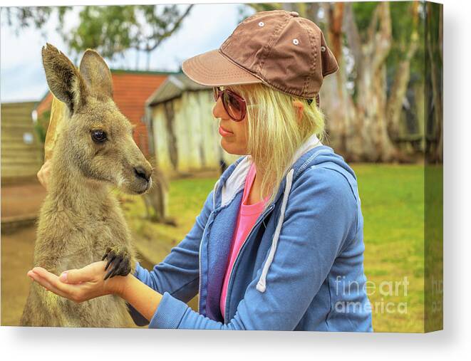 Kangaroos Canvas Print featuring the photograph Woman with kangaroo by Benny Marty