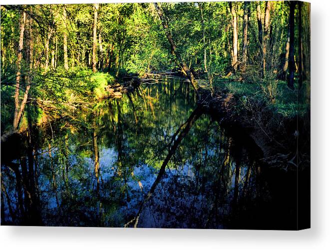 Tranquil Canvas Print featuring the photograph Woodland Calm No.18 - Accotink Stream Reflections by Steve Ember