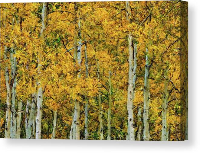 Aspen Canvas Print featuring the digital art Yellow Aspen Leaves by Russ Harris