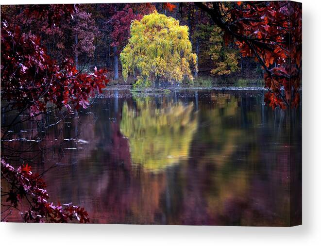 Lake Reflection Canvas Print featuring the photograph Yellow Reflection by Tom Singleton