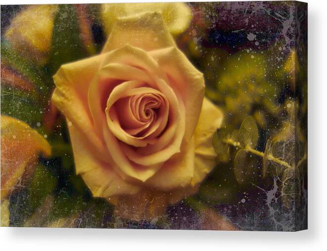 Rose Canvas Print featuring the digital art Yellow Rose PhotoArt by Russel Considine