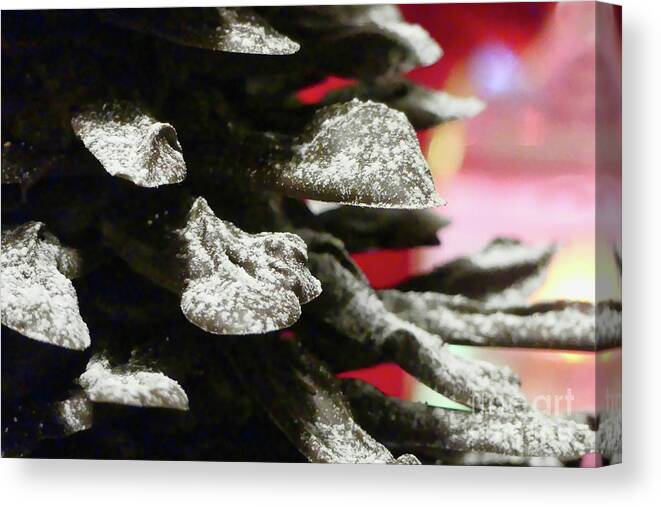 Chocolate Canvas Print featuring the photograph Yummy Chocolate Tree by Amy Dundon