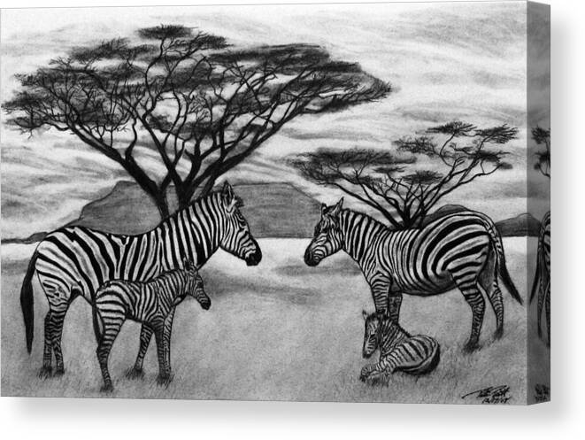 Zebra Outback Canvas Print featuring the drawing Zebra African Outback by Peter Piatt