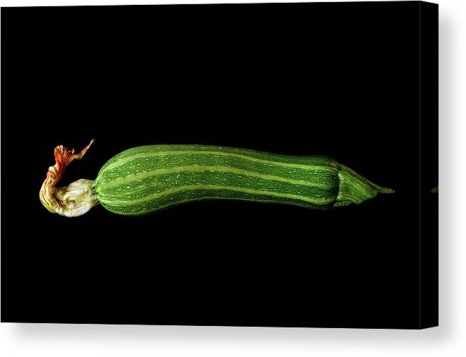 Zucchini Canvas Print featuring the photograph Zucchini Lines by James BO Insogna