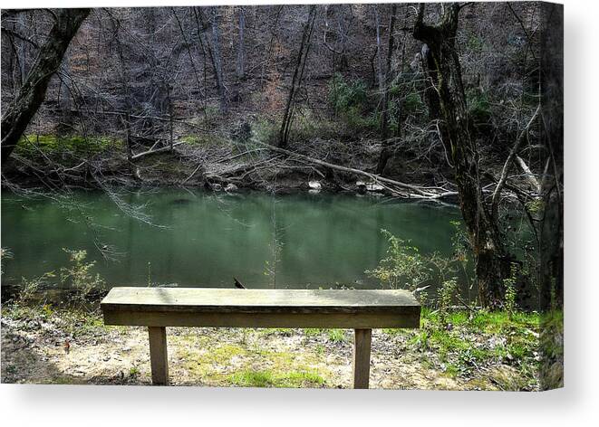 Stream Canvas Print featuring the photograph A Place to Rest by George Taylor