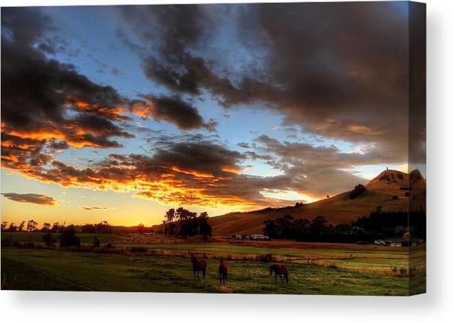 Aurora Canvas Print featuring the photograph Aurora Equus by Peter Mooyman