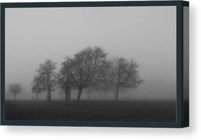 Fog Canvas Print featuring the photograph Autumn Dense Fog by Maj Seda