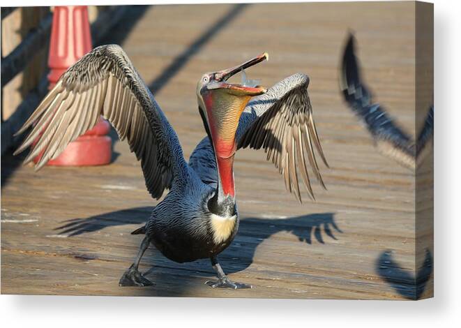 Wild Canvas Print featuring the photograph Bottoms Up by Christy Pooschke